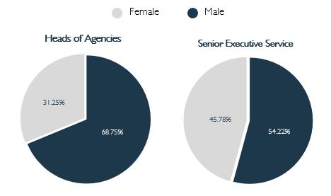 Heads of Agencies 31.25% female, 68.75% female.  SES 45.78% female, 54.22% male.