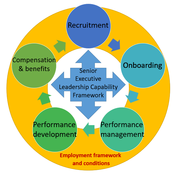 Graphical representation of the employment cycle featuring key stages and relation to the executive capability framework