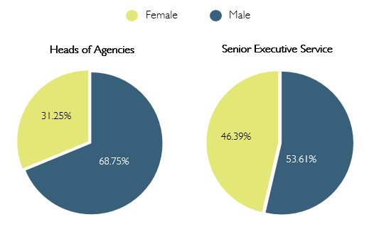 Heads of Agencies 31.25% female, 68.75% male.  SES 46.39% female, 53.61% male.