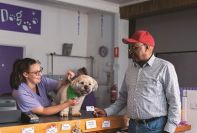 A maltese shitzu dog is on a counter. A woman is standing behind the counter and a male customer is in front of the counter.