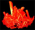 Crocoite, the mineral emblem of Tasmania