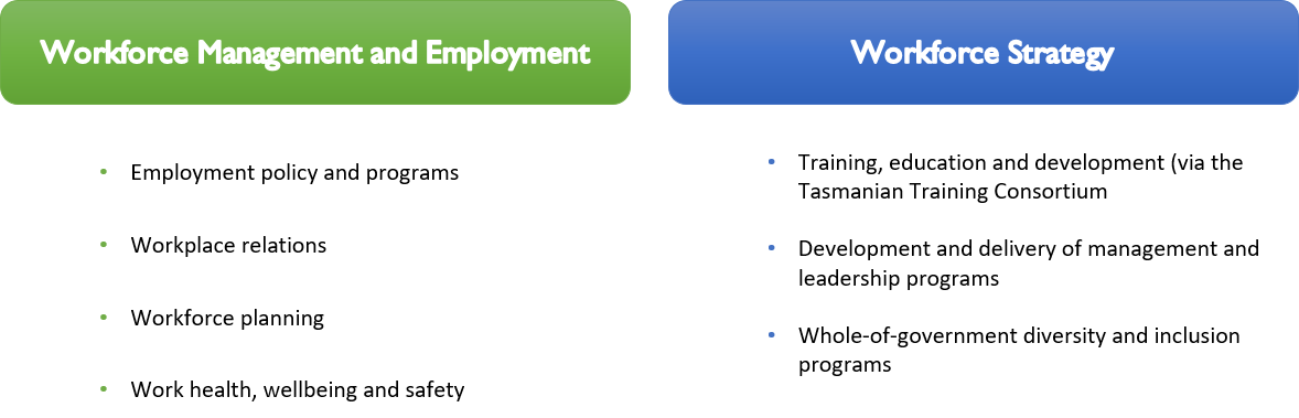 Workforce Management and Employment: employment policy and programs; workplace relations; workforce analysis and planning; work health, wellbeing and safety. Workforce strategy: training, education and development delivered through the Tasmanian Training Consortium; development and delivery of management and leadership programs; whole-of-government diversity and inclusion programs and initiatives.