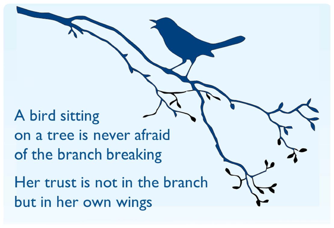 Diagram - Bird in the Tree 