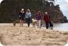 Women walking dogs