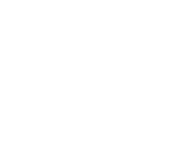 Tas Gov Logo